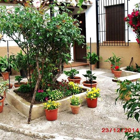 Casa Del Abuelo 1 Vila Yeste Exterior foto